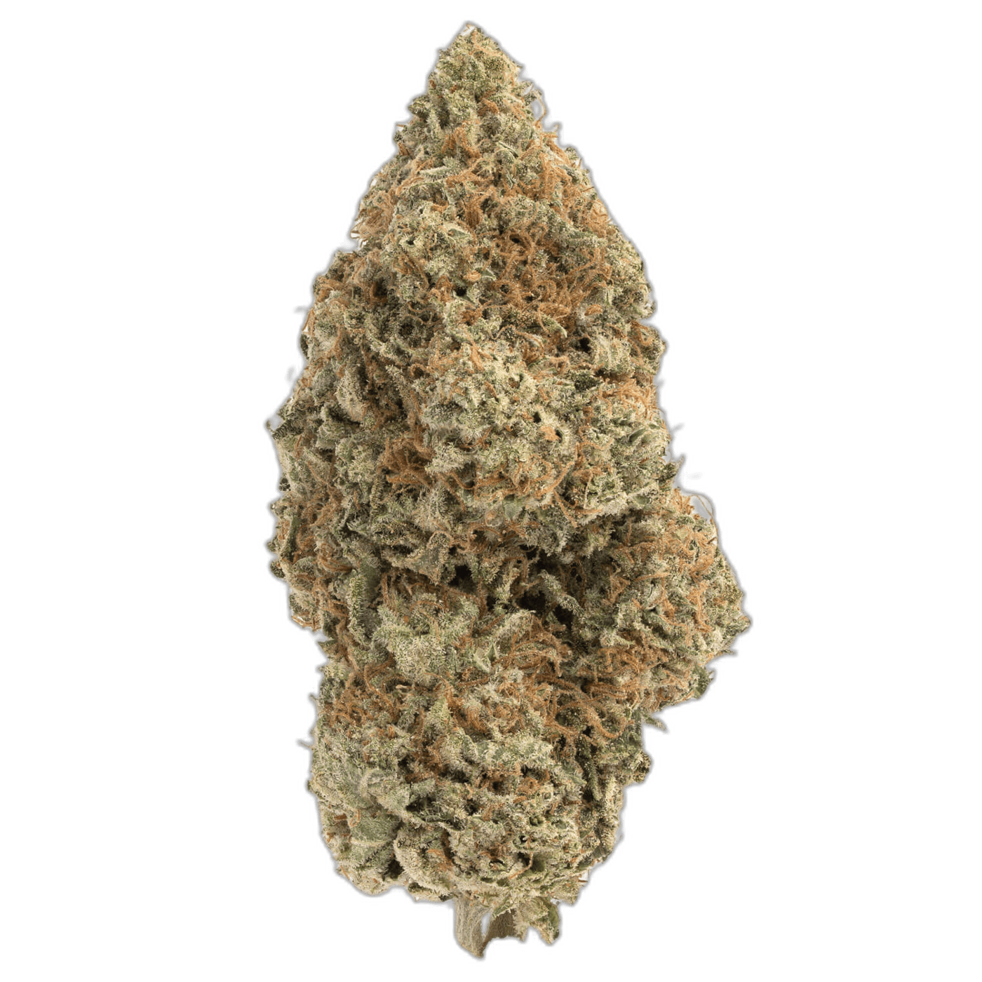Slurricane 1