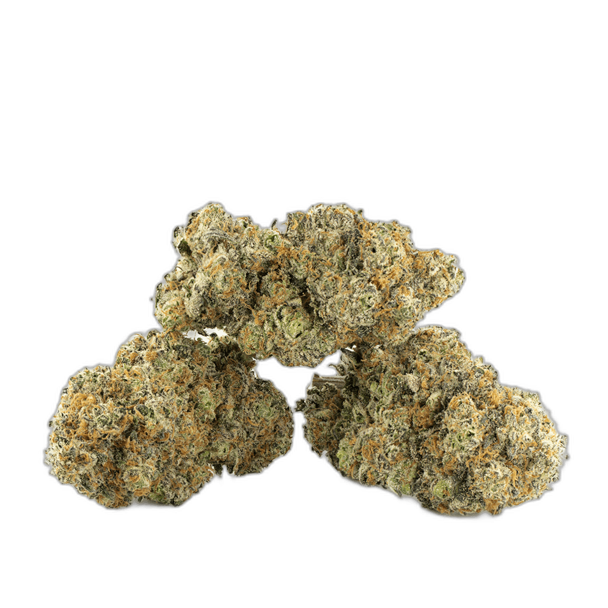 Slurricane Strain Multi Shot