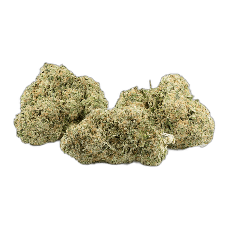 Sunset Sherbet Multi Shot