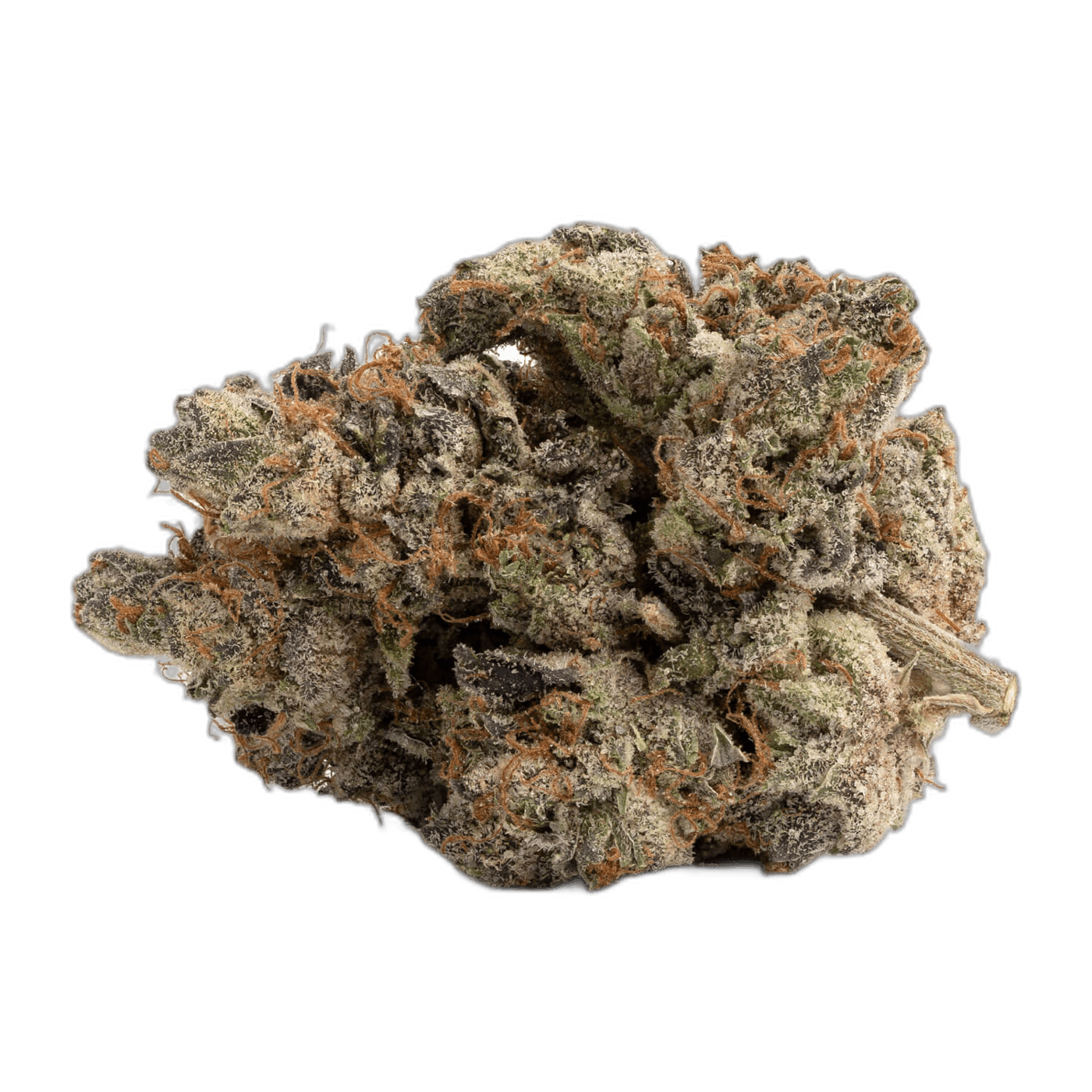 Super Glue