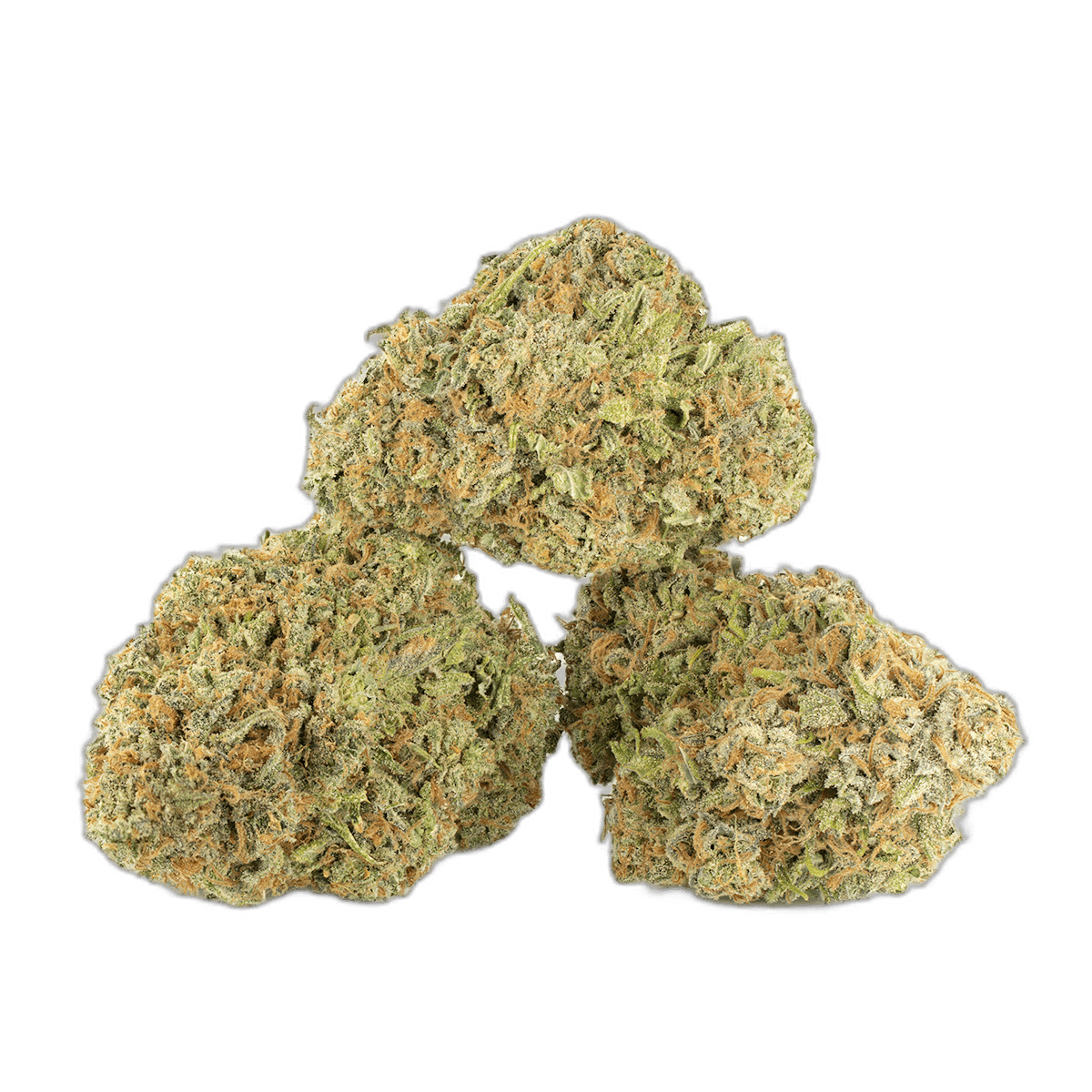 Supreme Nuken Multi Shot