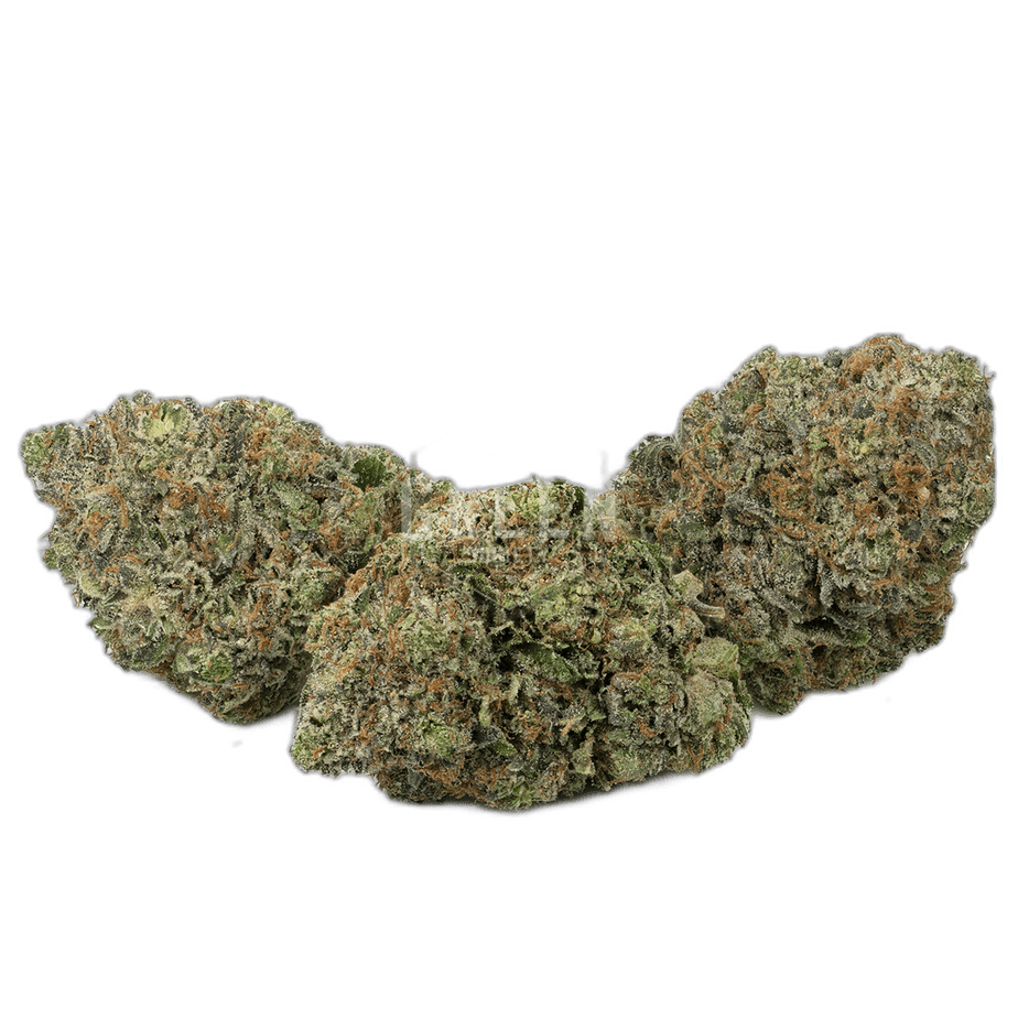 The Lizard by Bubba Kings