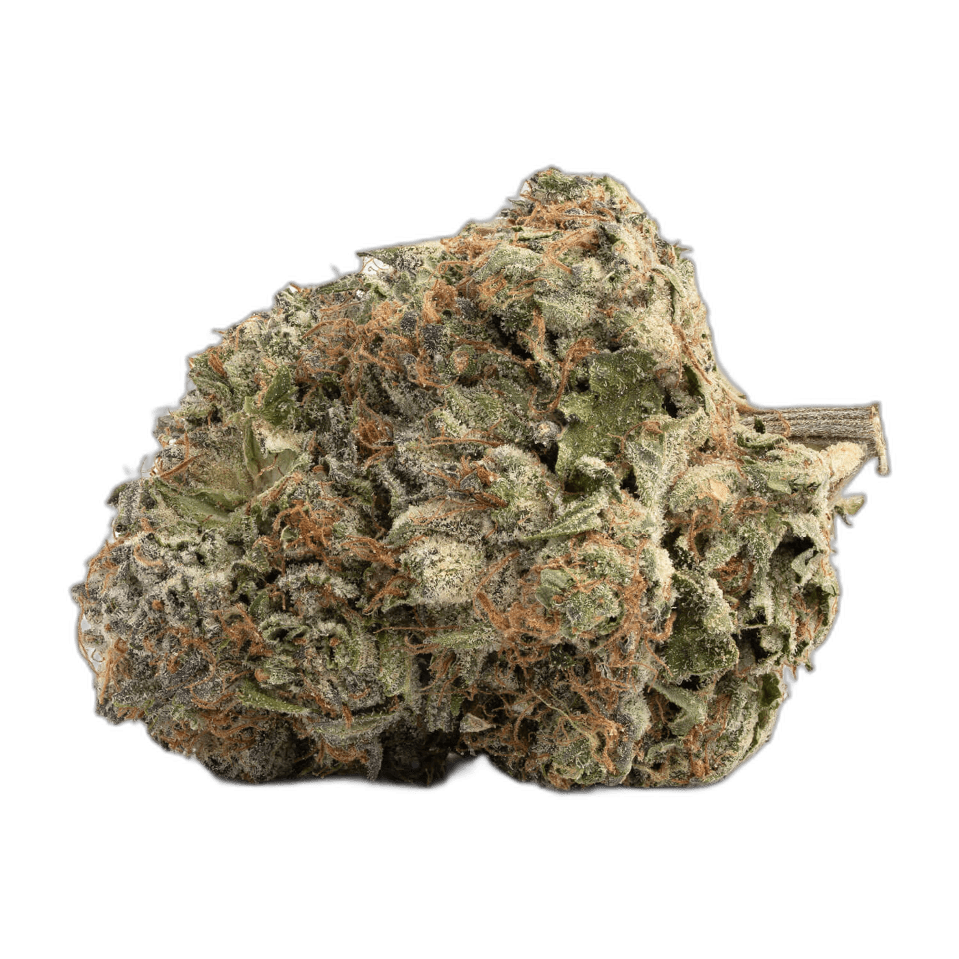 Thin Mint Cookies