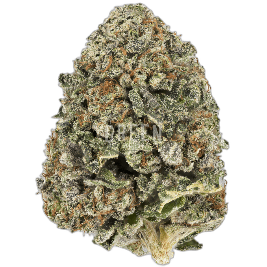 UBC Chemo Strain