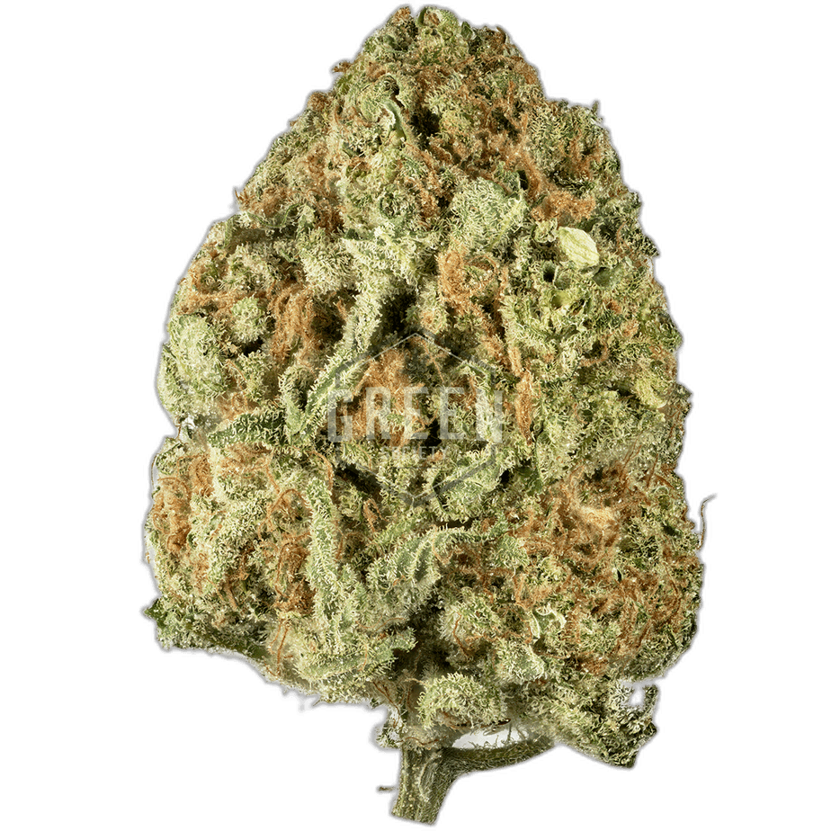 Walter White by Mephisto Genetics Nug