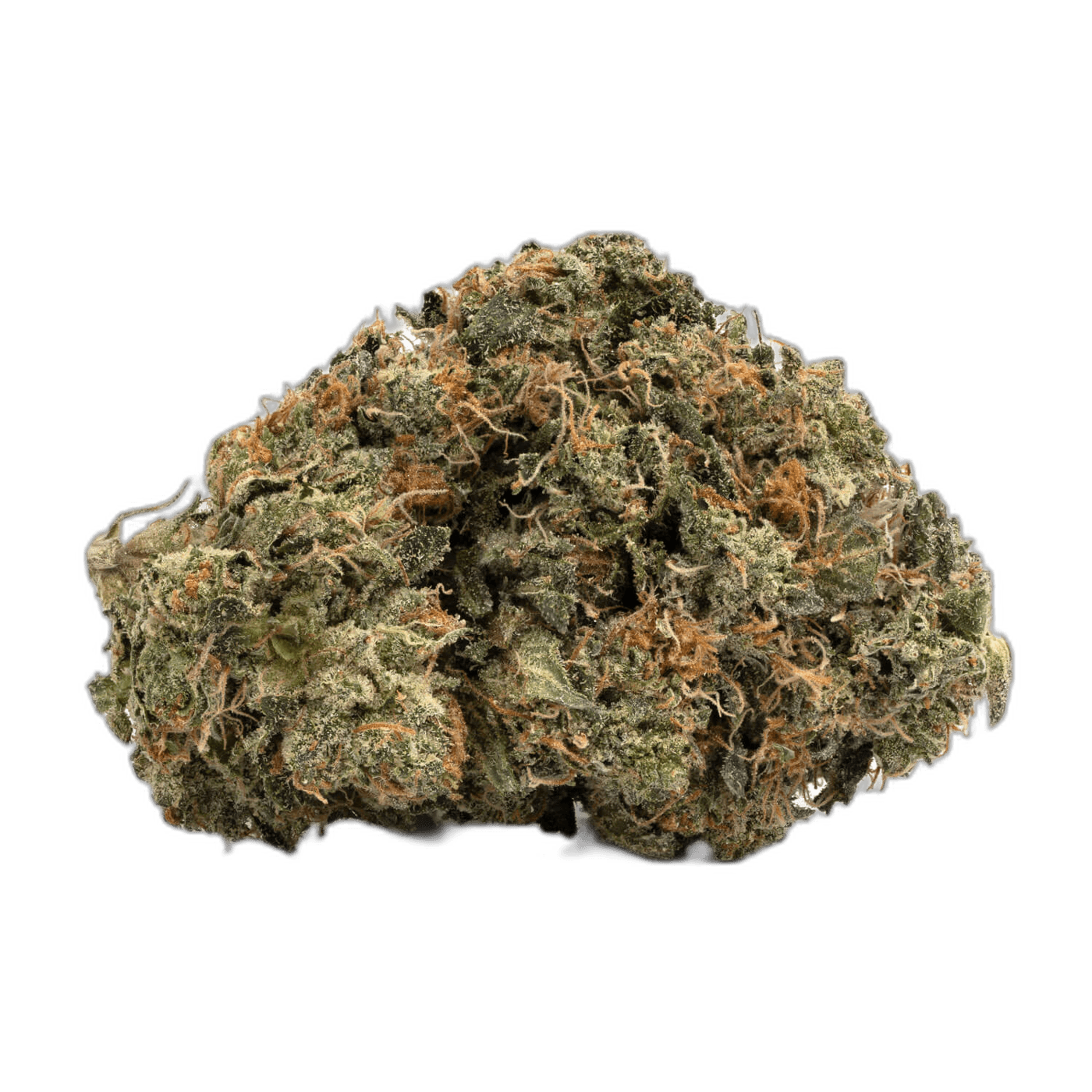 Zombie OG 2