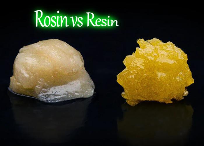 Rosin vs Resin: Cannabis Concentrates Compared