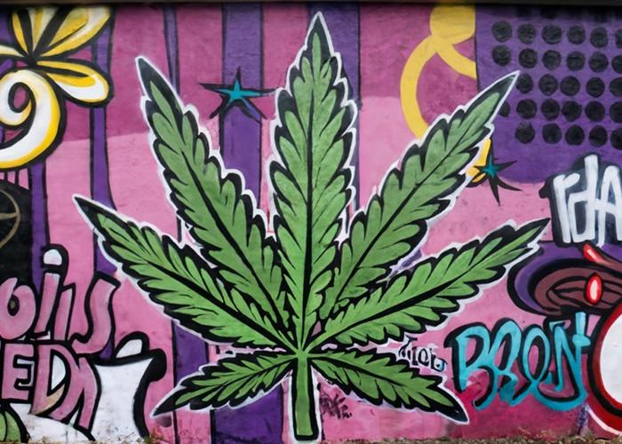 Ranking the Strongest Weed Strains for 2024 and Beyond