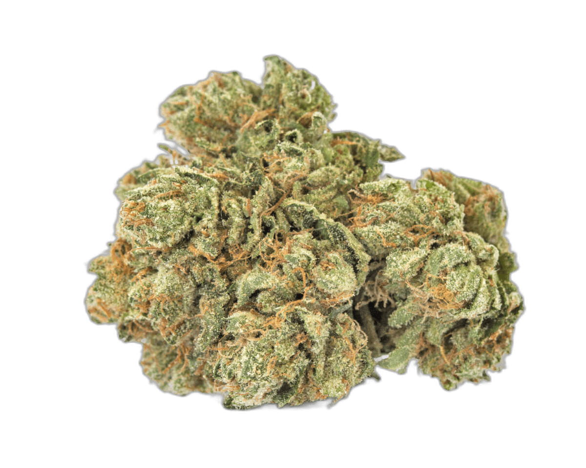 Medical,Marijuana,Bud.,Cannabis,Flower,Strain.,Indica,,Sativa,,Hybrid.,Weed