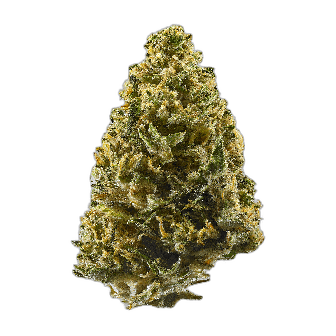 Northern lights