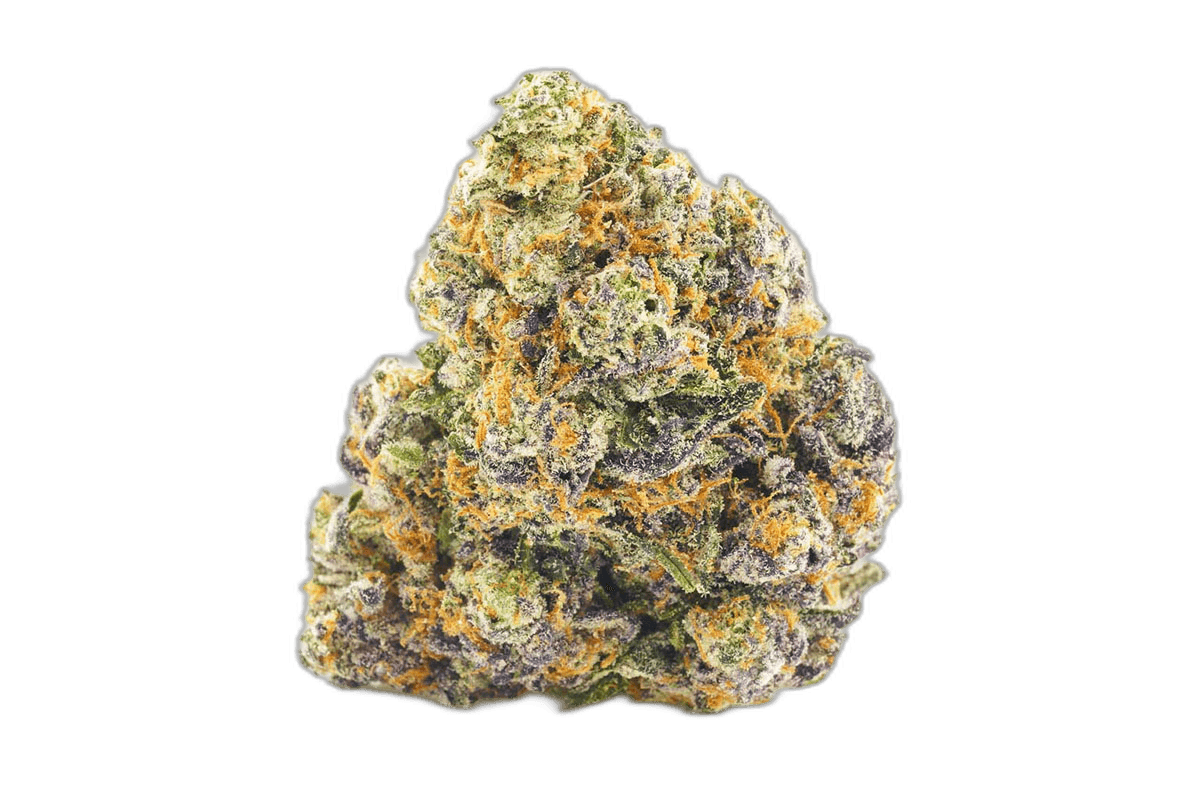 Purple Monkey