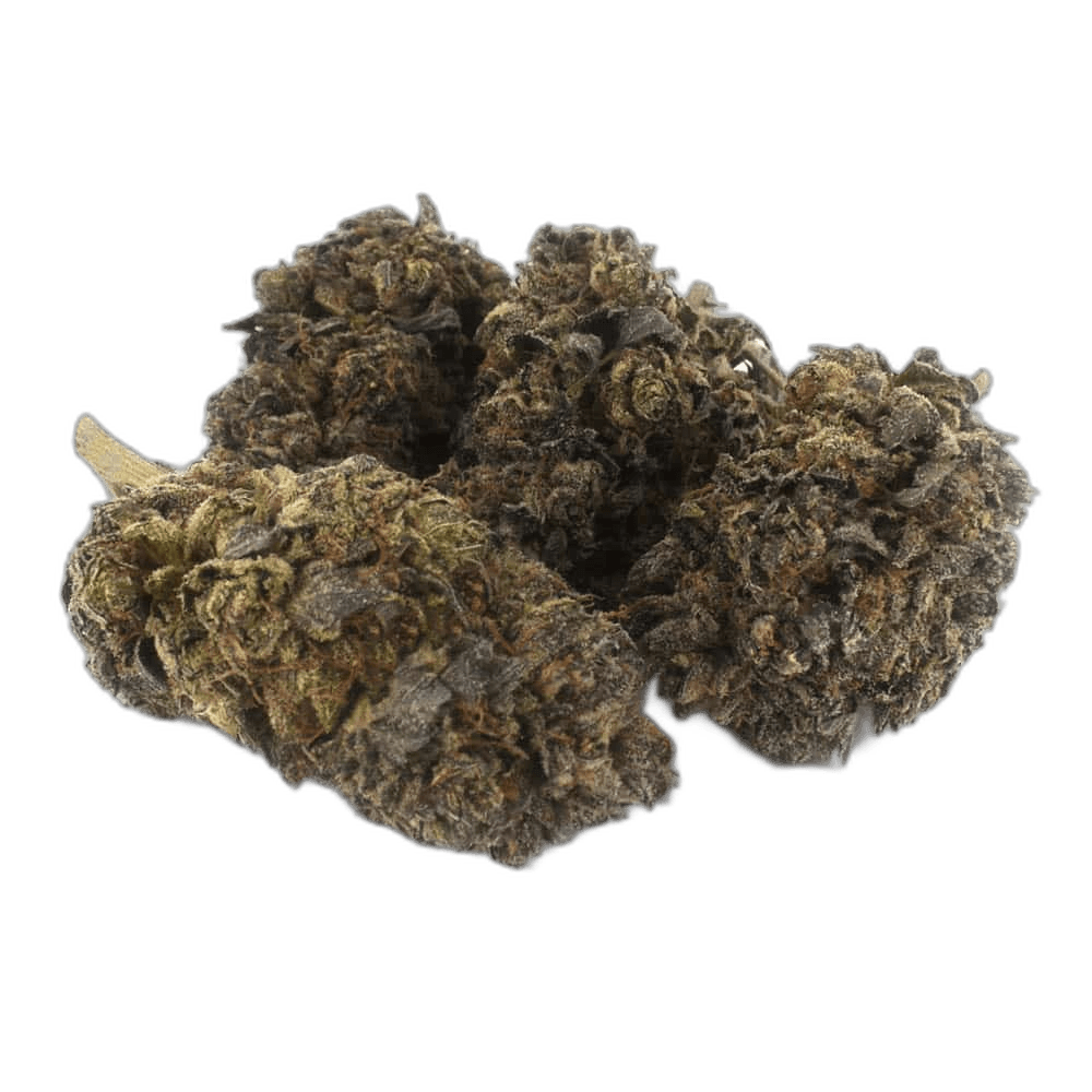Blue Candy Hybrid