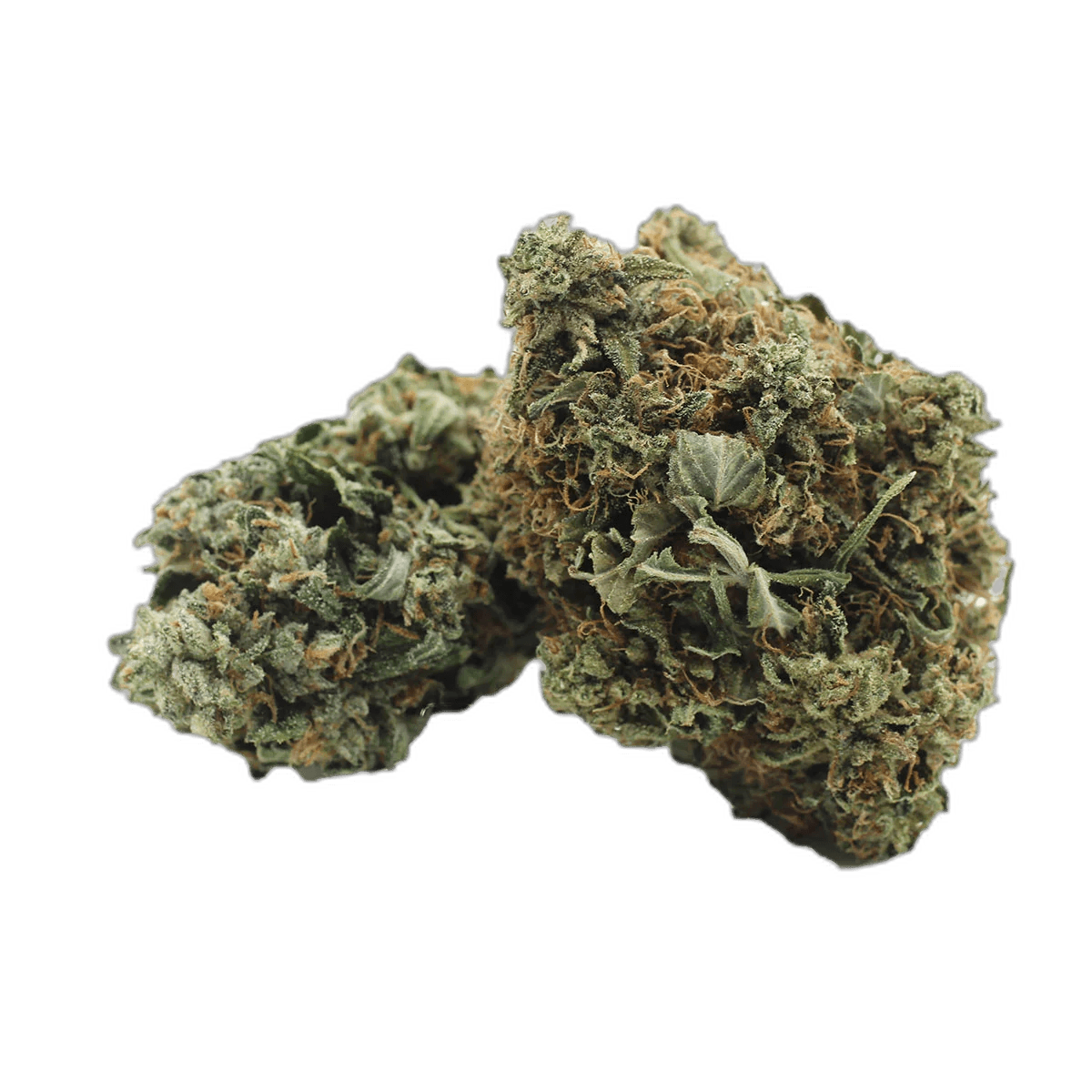 Bubba