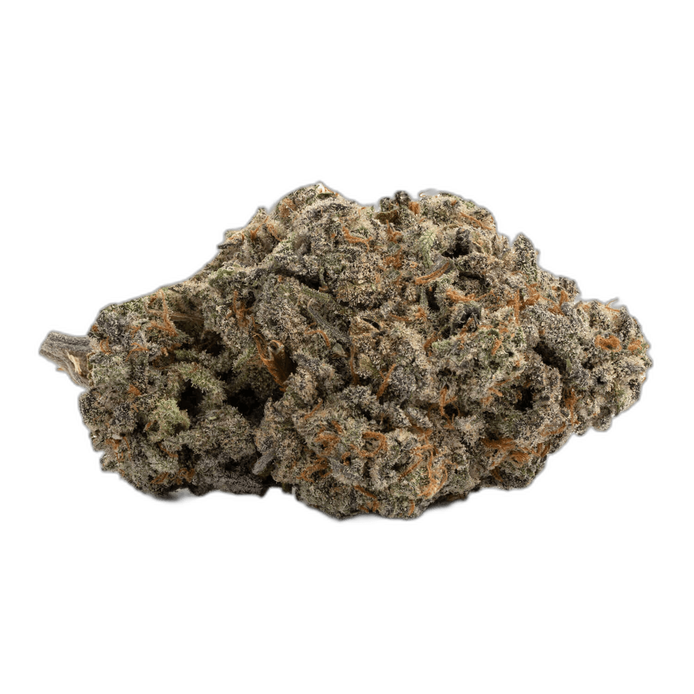 GSC
