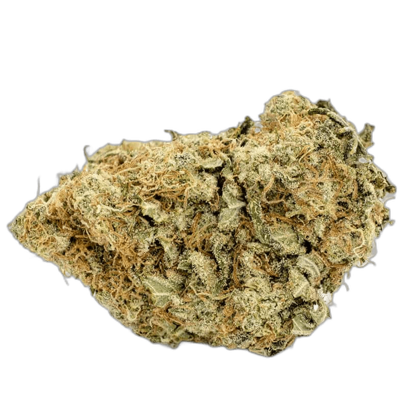 Skunk