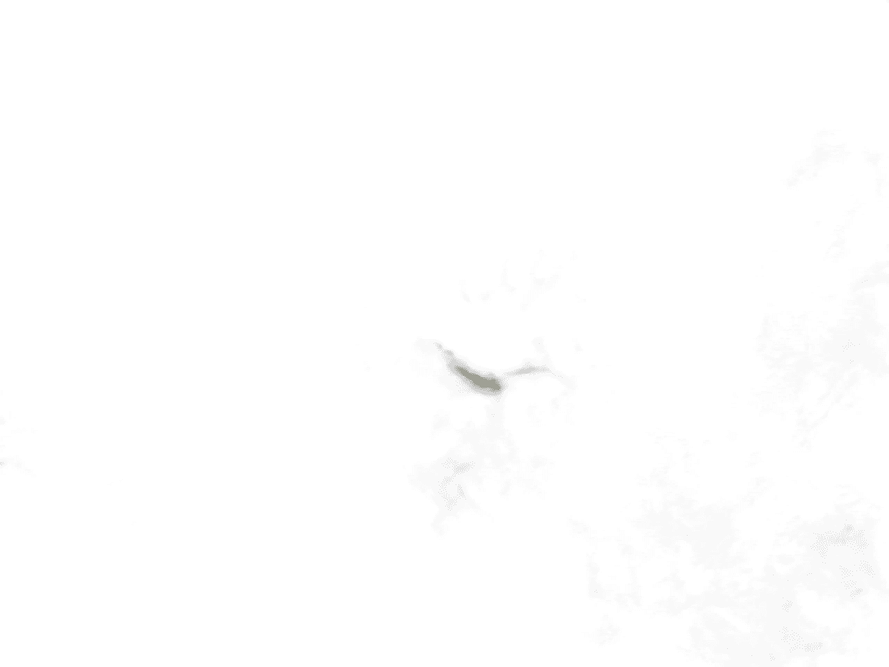 IMAGE 2025 02 07 16:03:14