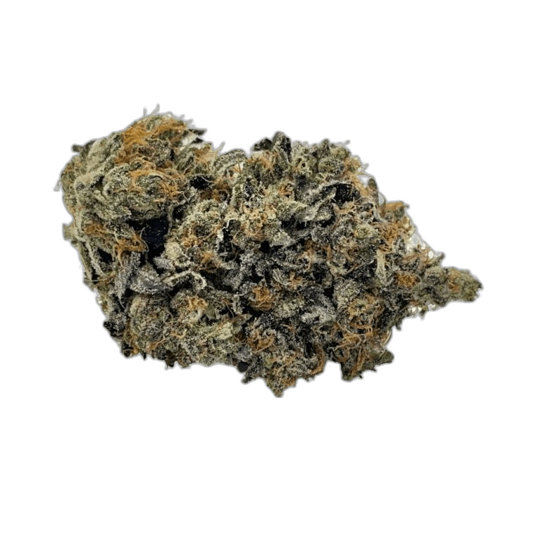Tom's Plushhammer Hybrid: A Unique, Heavy Strain