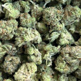 Super Skunk Indica: A Guide to This Potent Strain