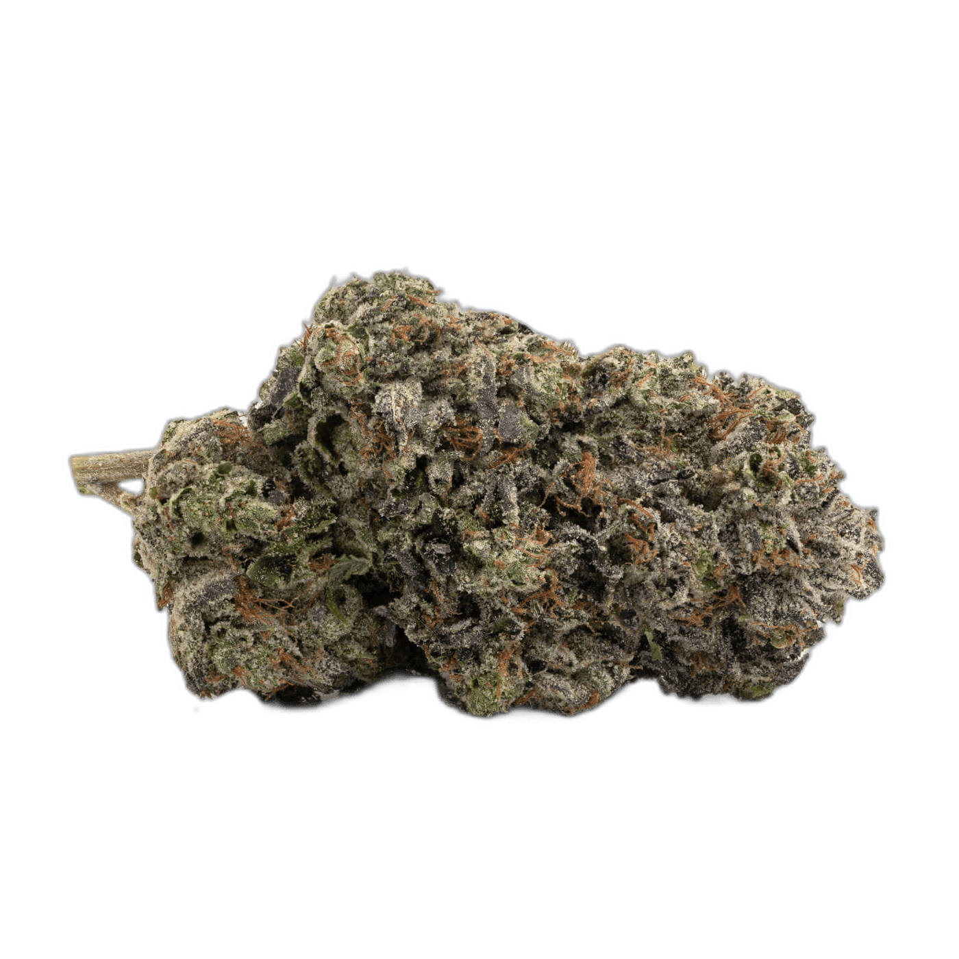 Sensi Star Indica: A Closer Look at This Potent Strain