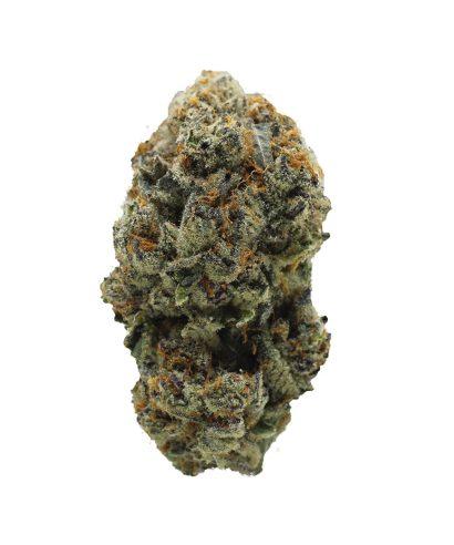 OG Kush Hybrid: The Ultimate Guide to an Icon