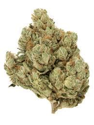 Alien OG Hybrid: A Deep Dive Into an Otherworldly Strain