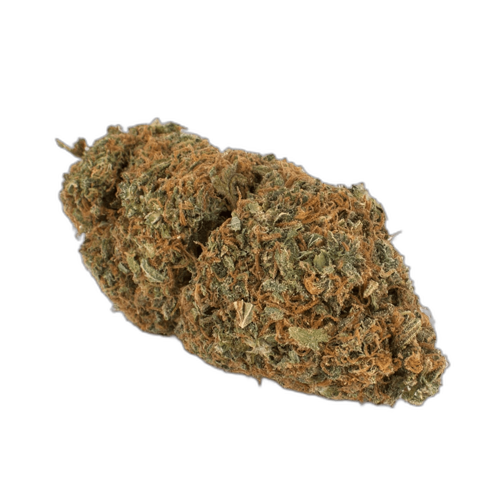 Skunk #1 Hybrid: The Iconic Cannabis Strain Revisited