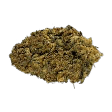 Alaskan Thunderfuck Sativa: A Comprehensive Strain Guide