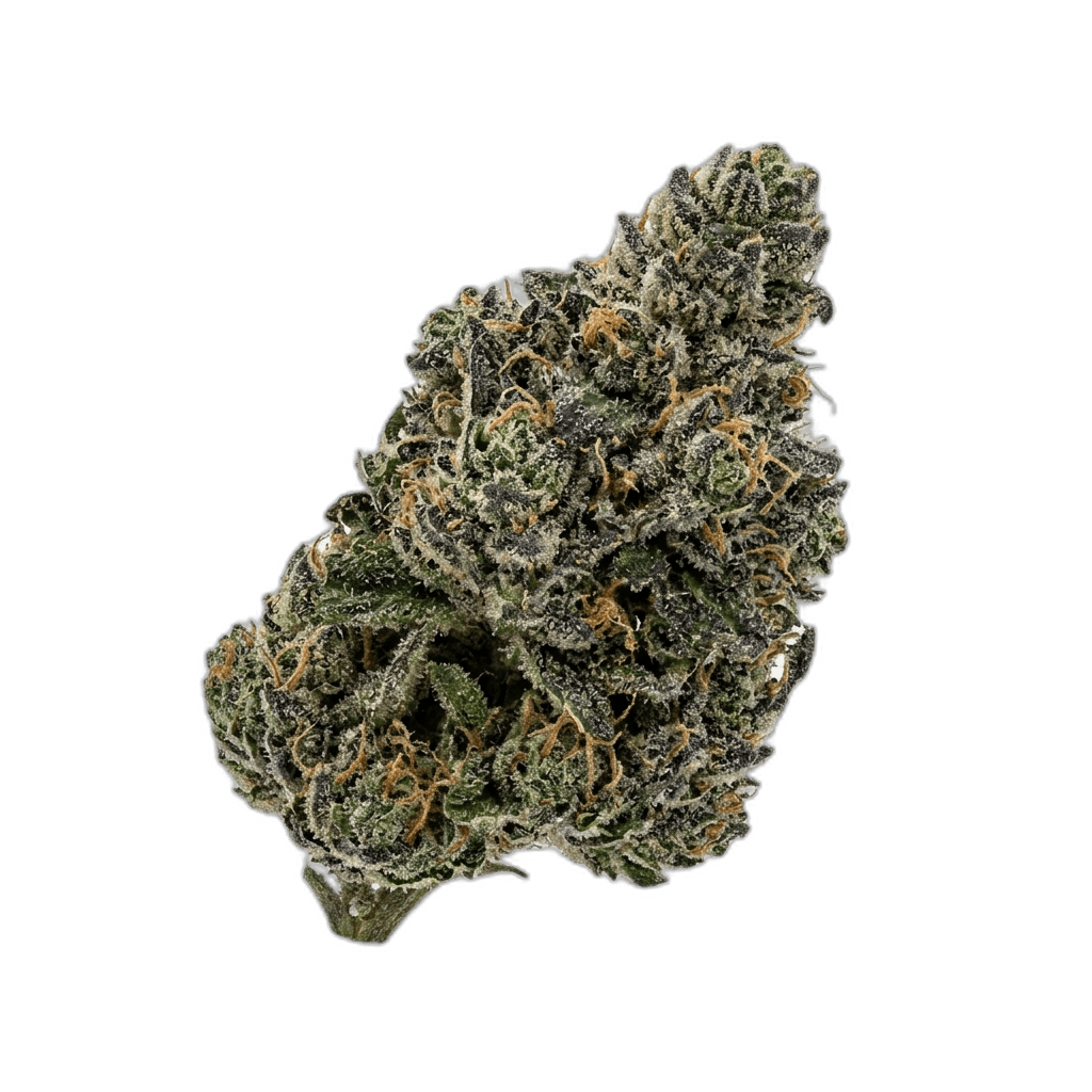 Blueberry Caviar Strain Review: Rich Berry, Deep Calm