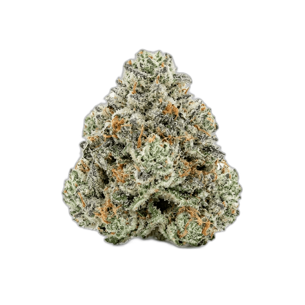 MAC 1 Hybrid