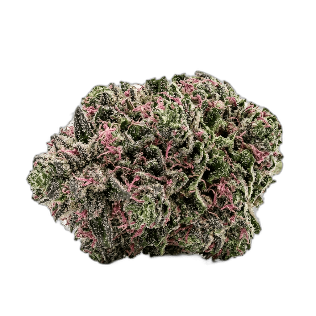 Pink Warheadz