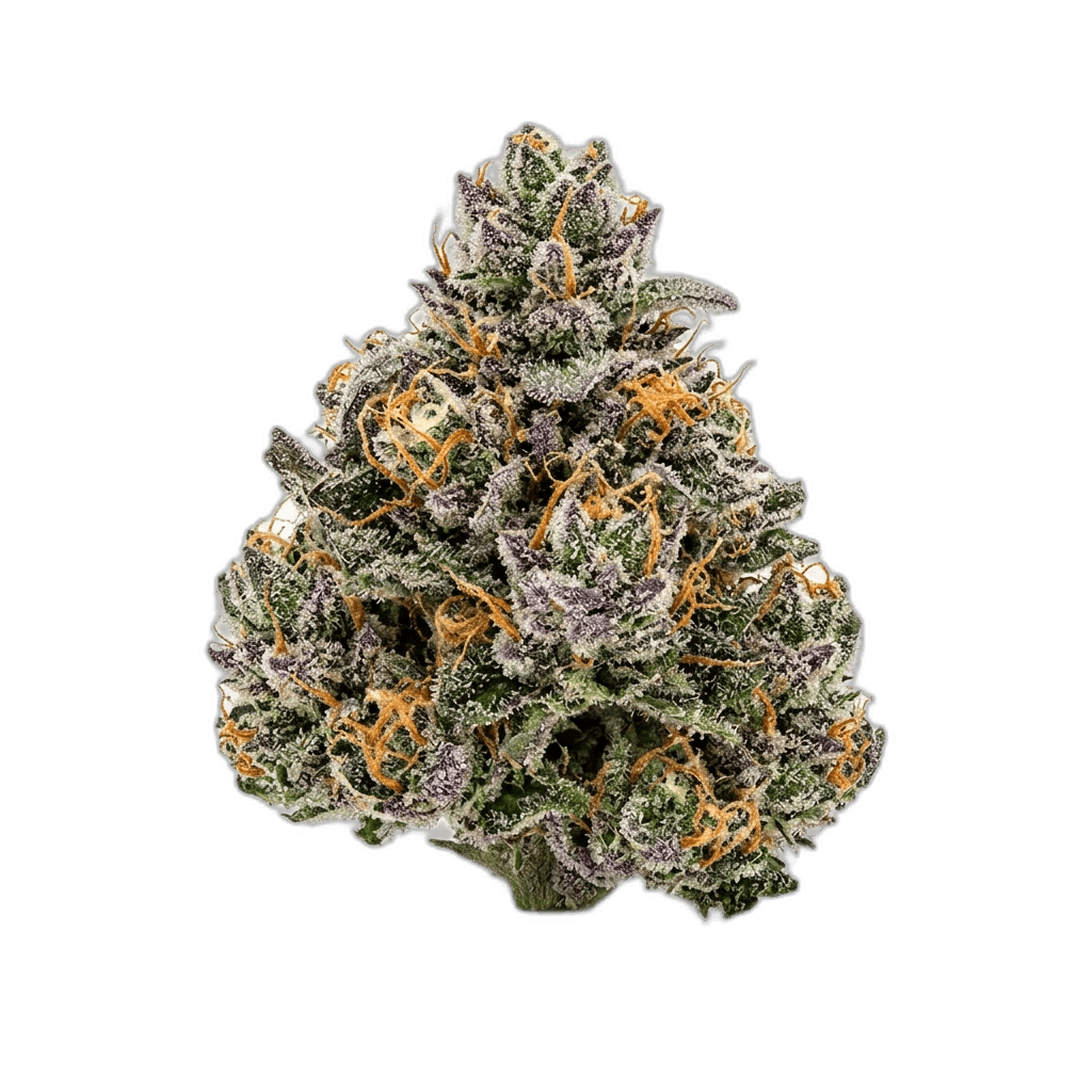 Purple Barney Sativa