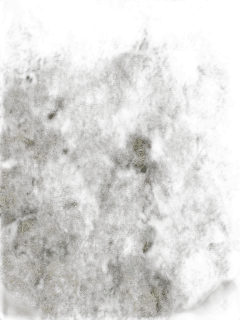 photo 2026 03 16 19 40 58