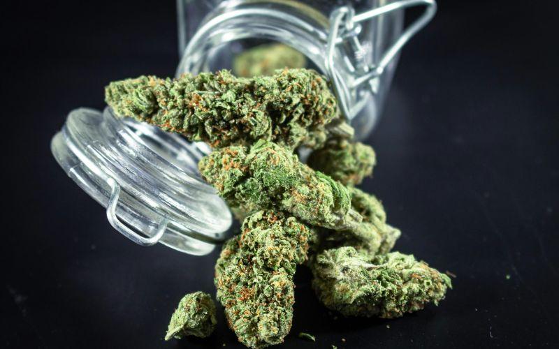 Weed Delivery in Toronto: Fast, Safe, Reliable Guide