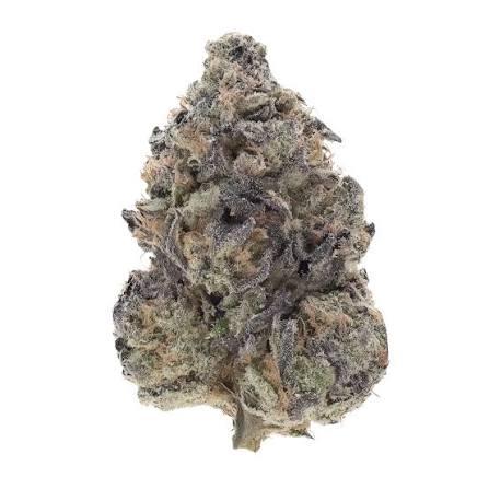 Pink Gorillla LSO