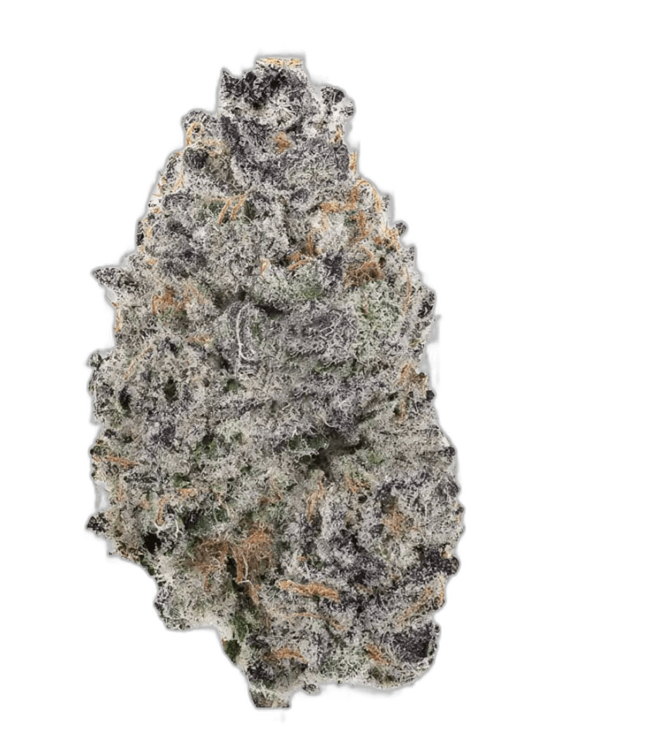 Searching the Best Dispensary Near Me in Canada