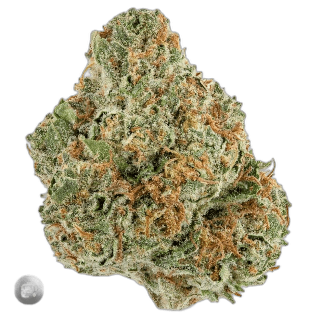 Best Hybrid Cannabis Strains for Stoners in 2022