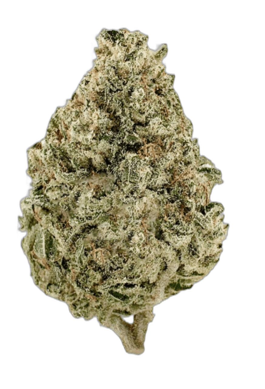 Does Eating Mango Get You Higher? The Real Answer