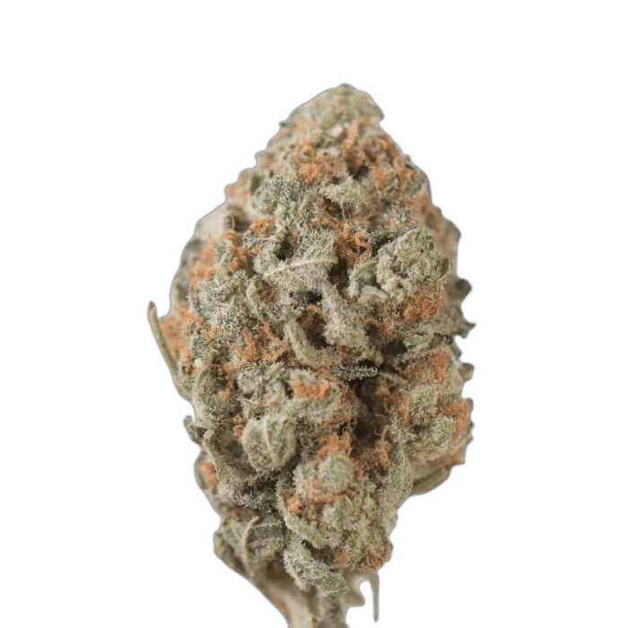 Tangie