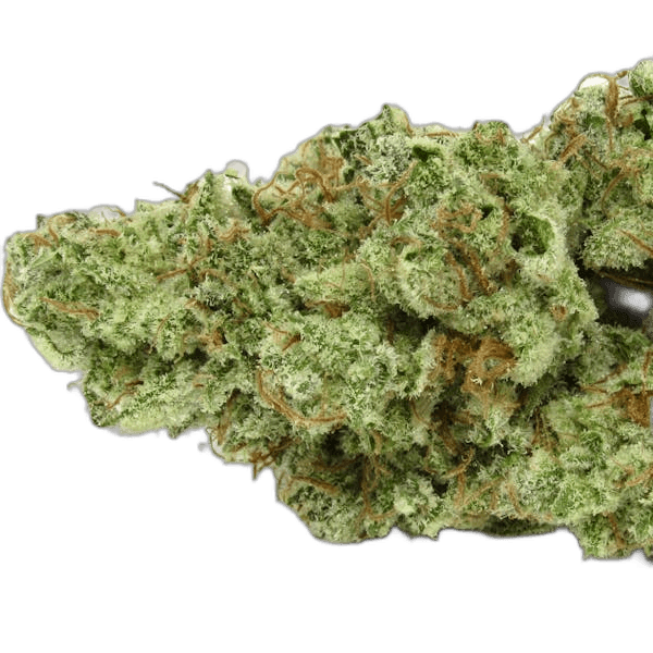 The 420 Store Review and GasDank Compared Honestly