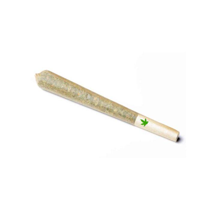 Pre Roll