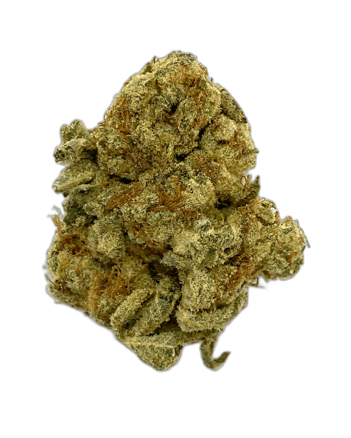 cherry kush strain