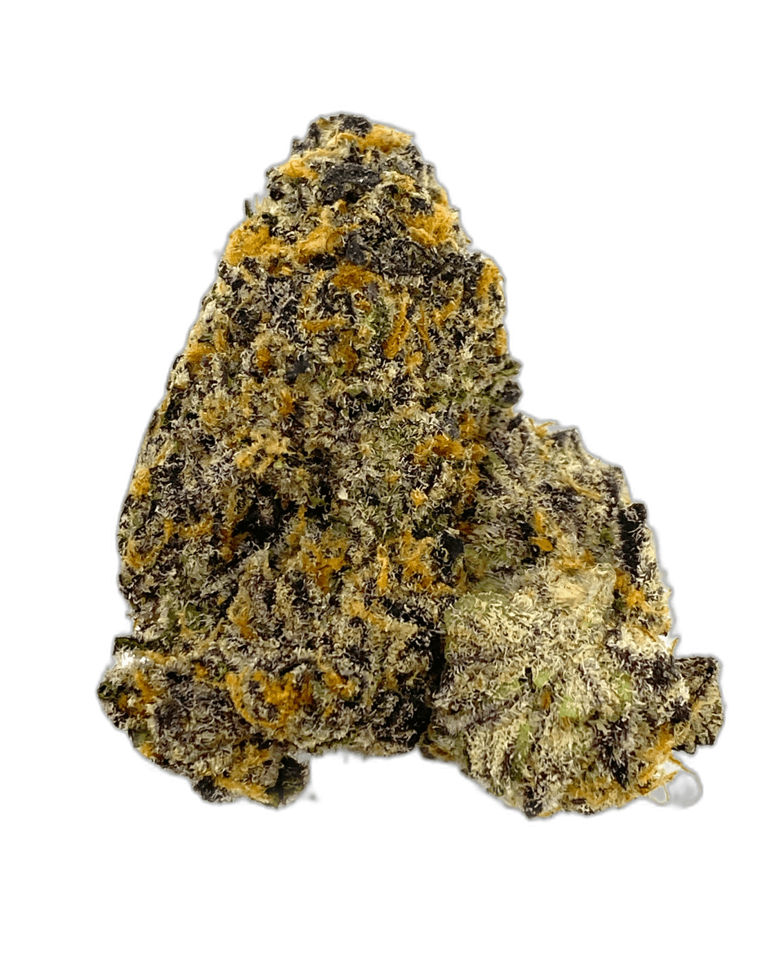 electrical purple