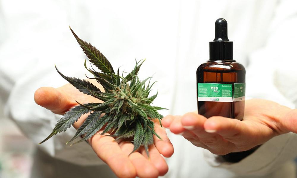 Can Cannabis Help Tourette Syndrome? A General Overview