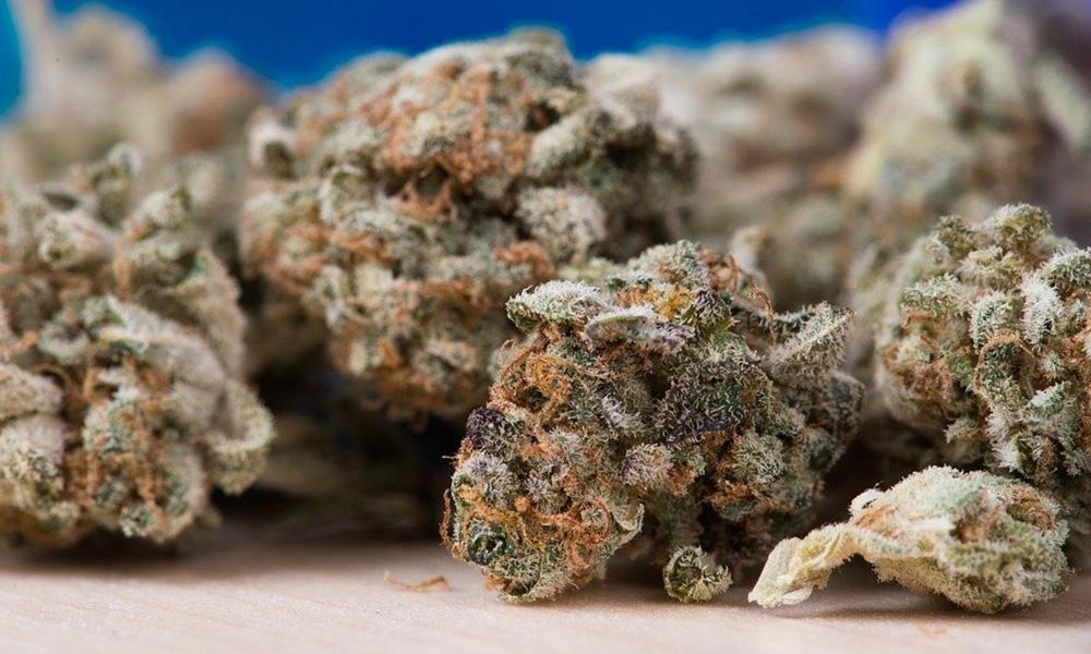 The Best Cannabis Strains 2022