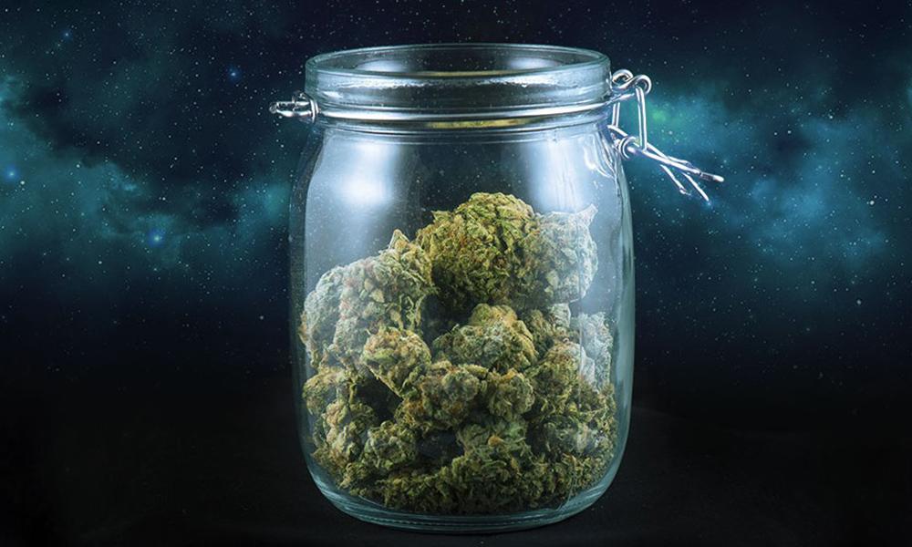 The Strongest Cannabis Strain: Top High THC Picks