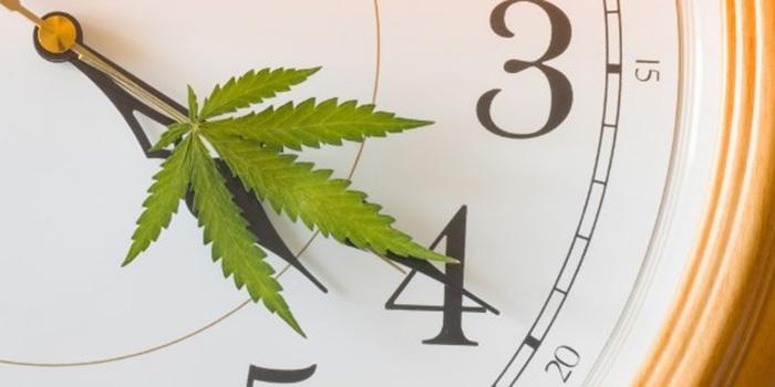 What Is 420? The History and Meaning Behind It