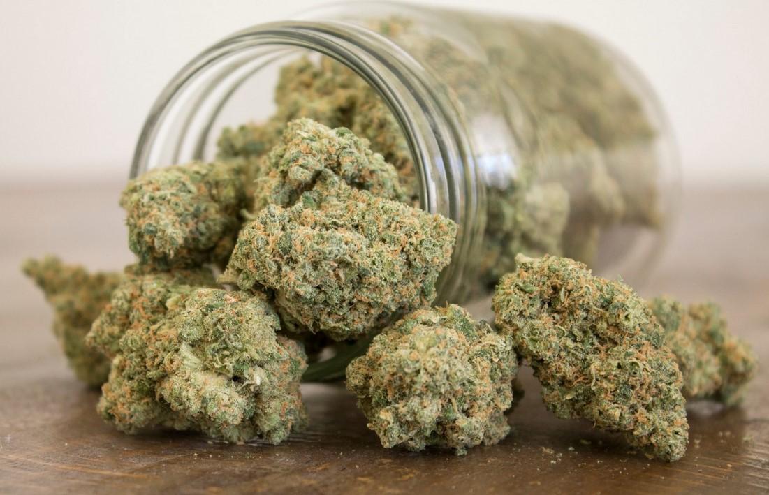 Top Rated Cannabis Strains of All Time: The Classics