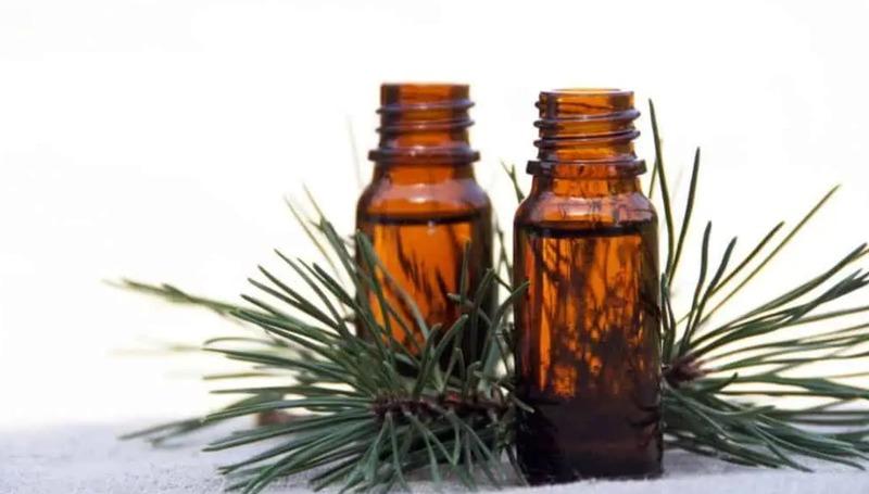 Carene Terpene: Aroma, Effects and Uses Explained