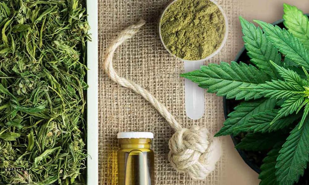 Hemp vs Marijuana: What Are the Real Differences