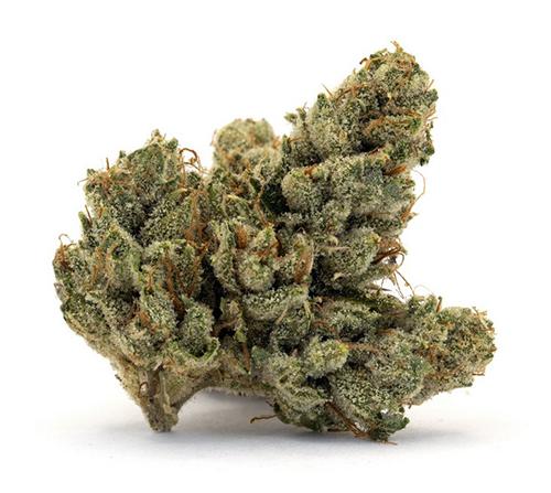 Jet Fuel Strain Review: A Fast Diesel Sativa Hybrid
